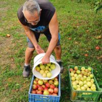 7_Zber úrody z našej záhradky_2409