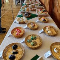 12_Návšteva obce Veľký Klíž_2504