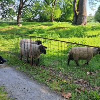 15_Návšteva obce Šišov_kaštieľ_2504