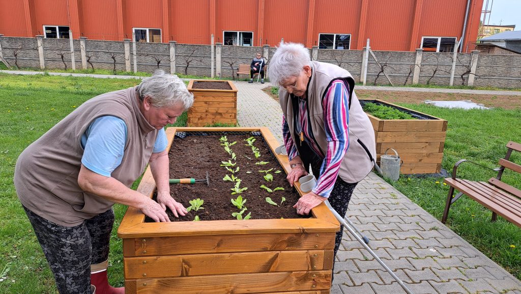 Dotácia na podporu rozvoja sociálnych služieb