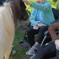 17_Návšteva p Mokrého s koníkmi_2508