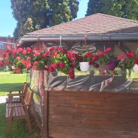 2_Altánok plný kvetov_2508