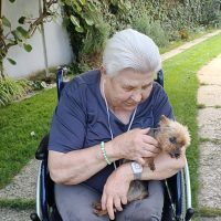 7_Máme radi zvieratká_2508