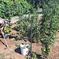 8_Práce v záhrade_2508