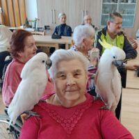 12_Arakovo-terapia vtákmi_2602
