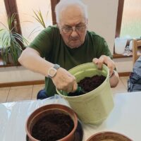 21_Sadenie papriky_2603