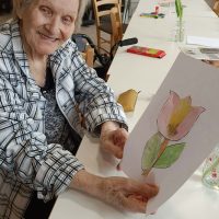 8_Deň tulipánov_2605